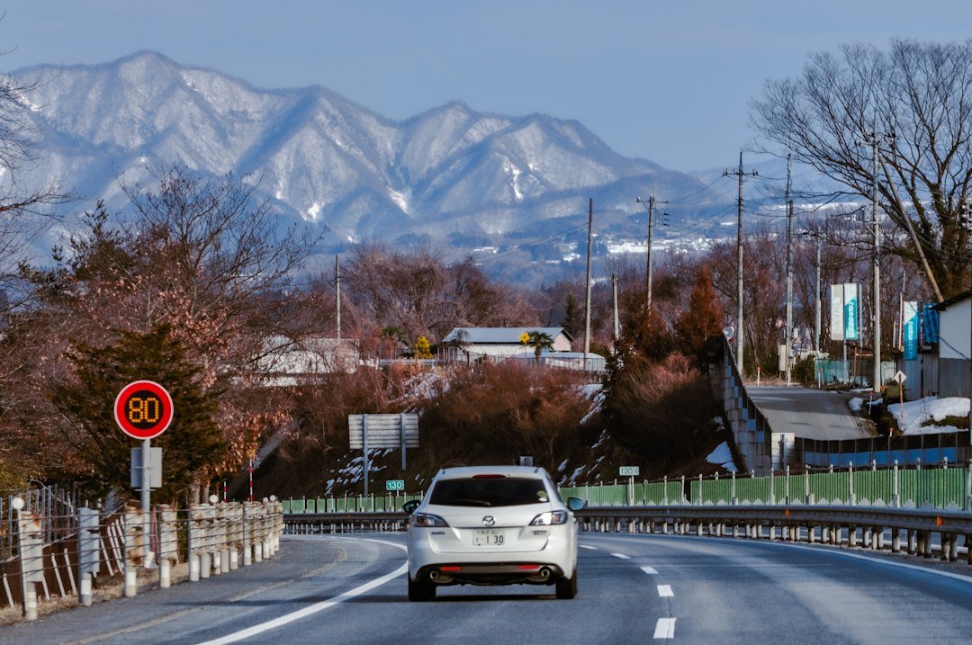 旅行のドライブ