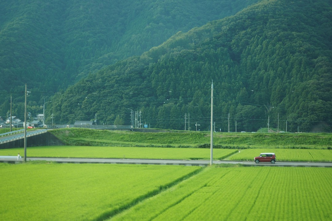 日本の路線バスの風景