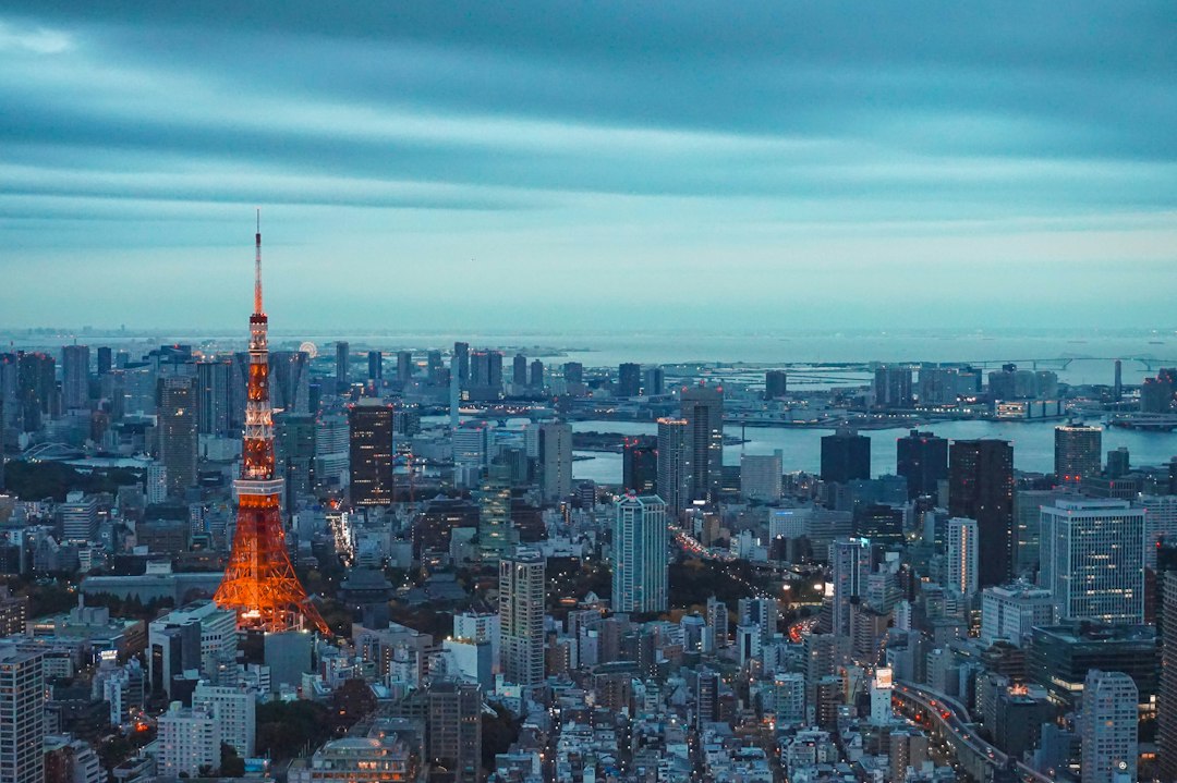 東京の街並みと東京タワーを望む風景